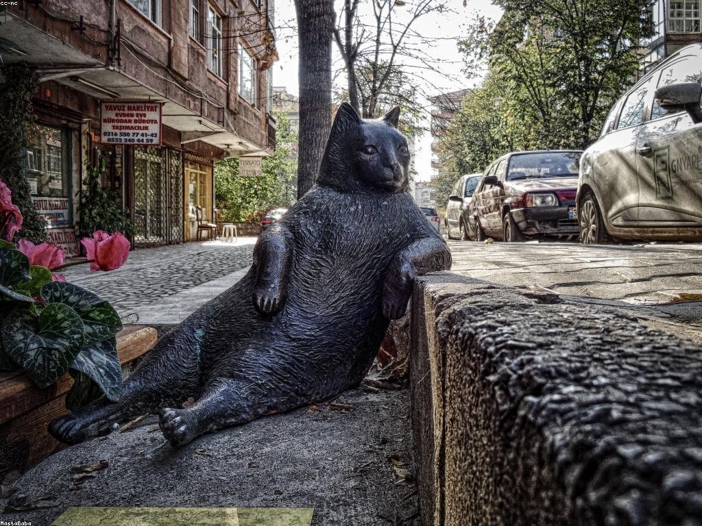 ការយល់ដឹងអំពីព័ត៌មានបាការ៉ាត់ជាមូលដ្ឋានសម្រាប់អ្នកចាប់ផ្ដើម